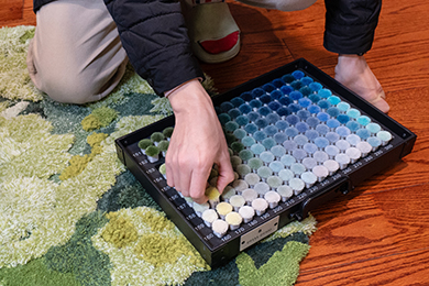 nuancier laine tapis touffé: Le responsable commercial choisit les couleurs de fils pour un tapis touffé en laine verte effet mousse